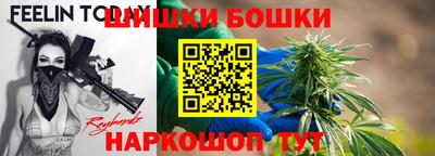крисы Будённовск