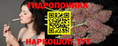 крисы Будённовск