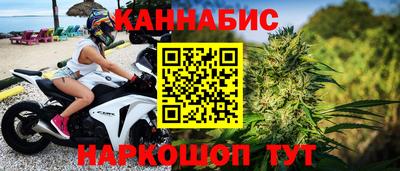 крисы Будённовск